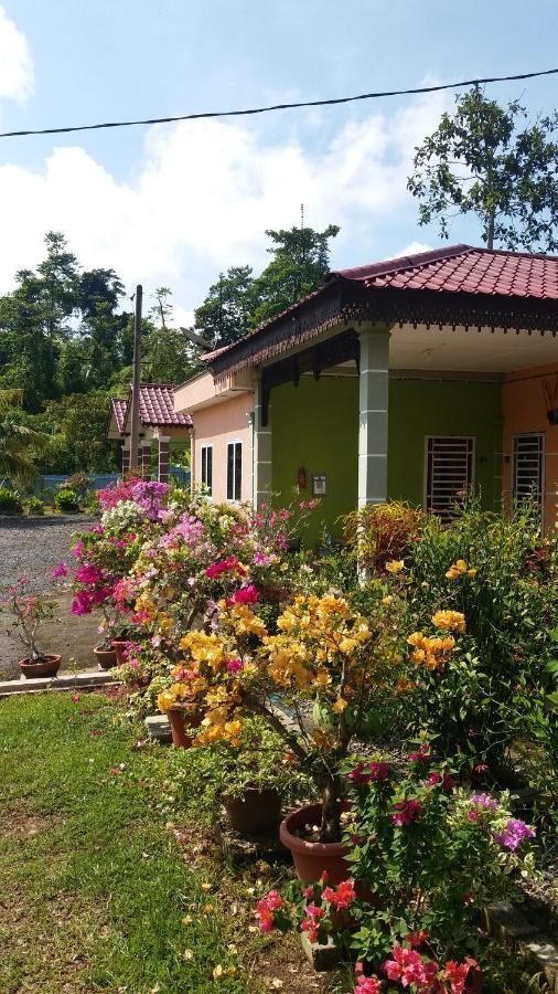 Dhia Irdina Homestay Paya Rewak Eksteriør bilde